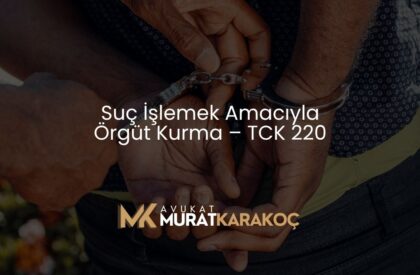 Suç İşlemek Amacıyla Örgüt Kurma – TCK 220