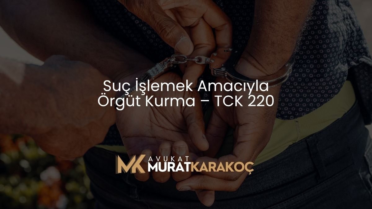 Suç İşlemek Amacıyla Örgüt Kurma – TCK 220